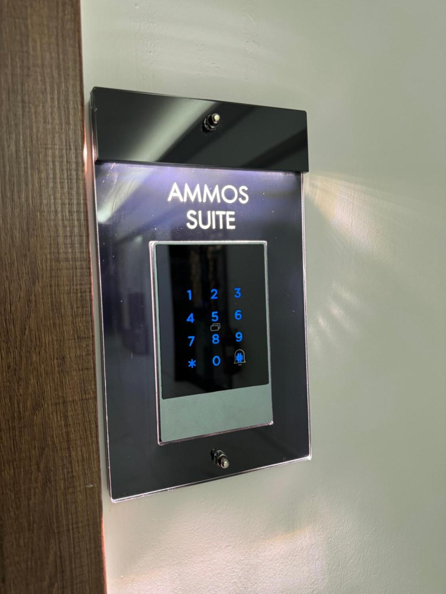 Chic Centre Suites アテネ エクステリア 写真
